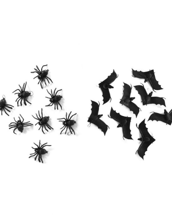 Chauve-souris pendant et araignée